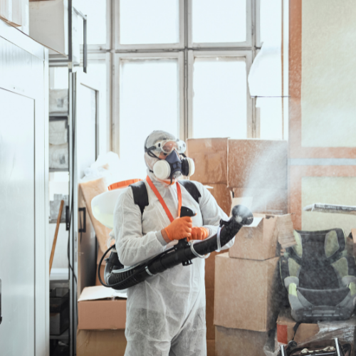Desinfecc covid Empresa de control de Plagas