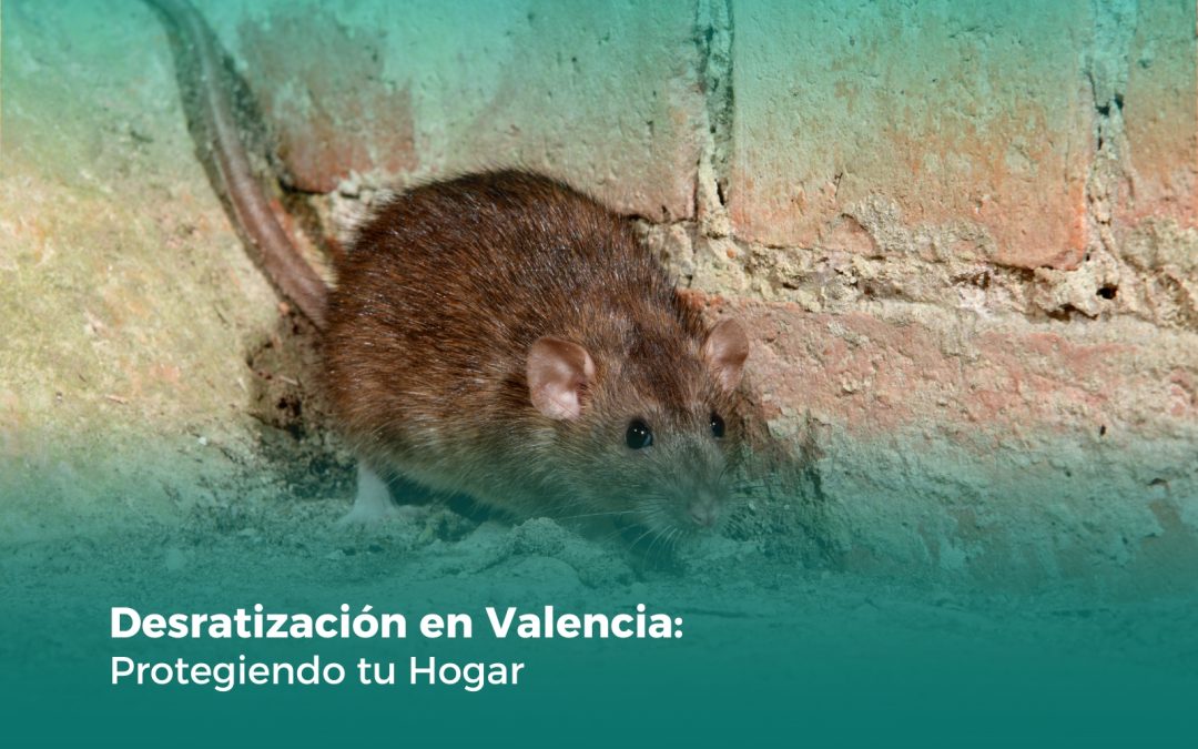 Desratización en Valencia: Protegiendo tu Hogar