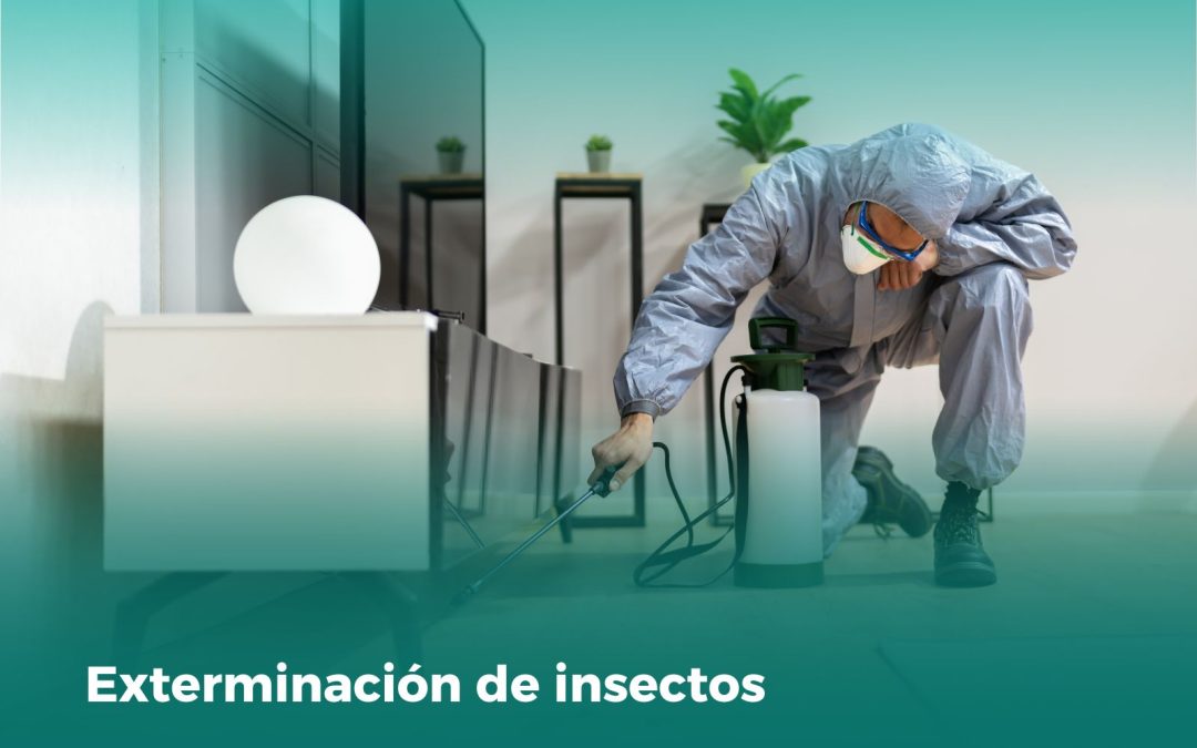 Exterminación de Insectos: Los 3 Insectos Más Comunes y Cómo Combatirlos