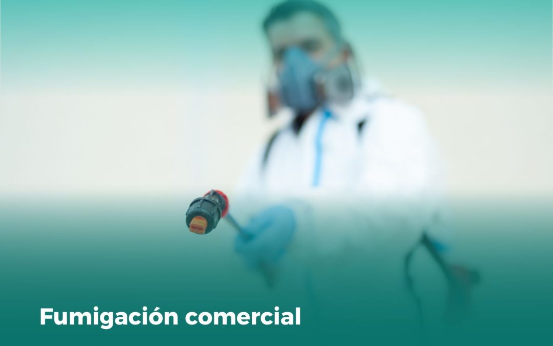 Fumigación Comercial: Prioriza el Control de Plagas en tu Negocio