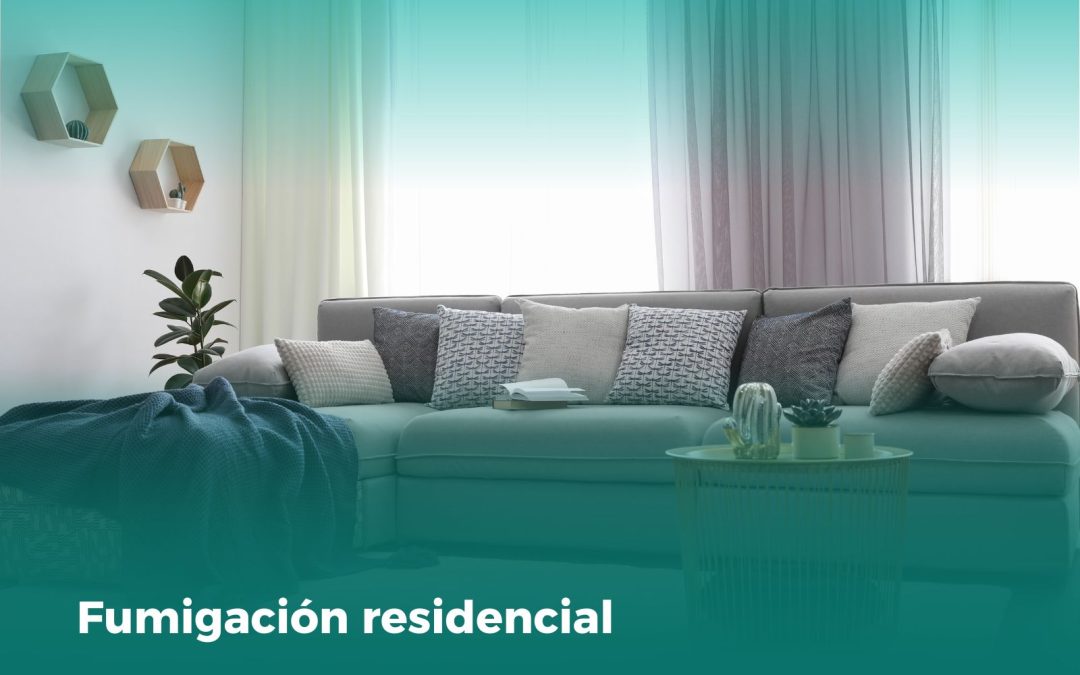 Fumigación Residencial: Mantén tu Hogar Libre de Plagas