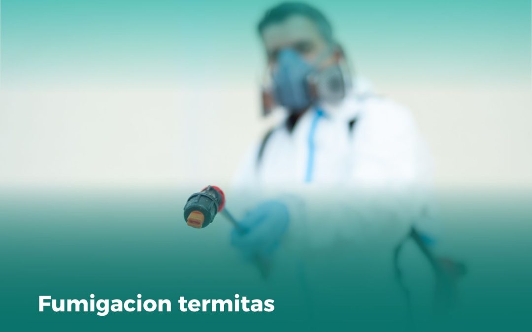 Fumigación de termitas: Actúa rápido para proteger tu hogar o negocio