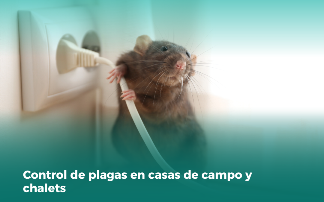 Control de plagas en casas de campo y chalets