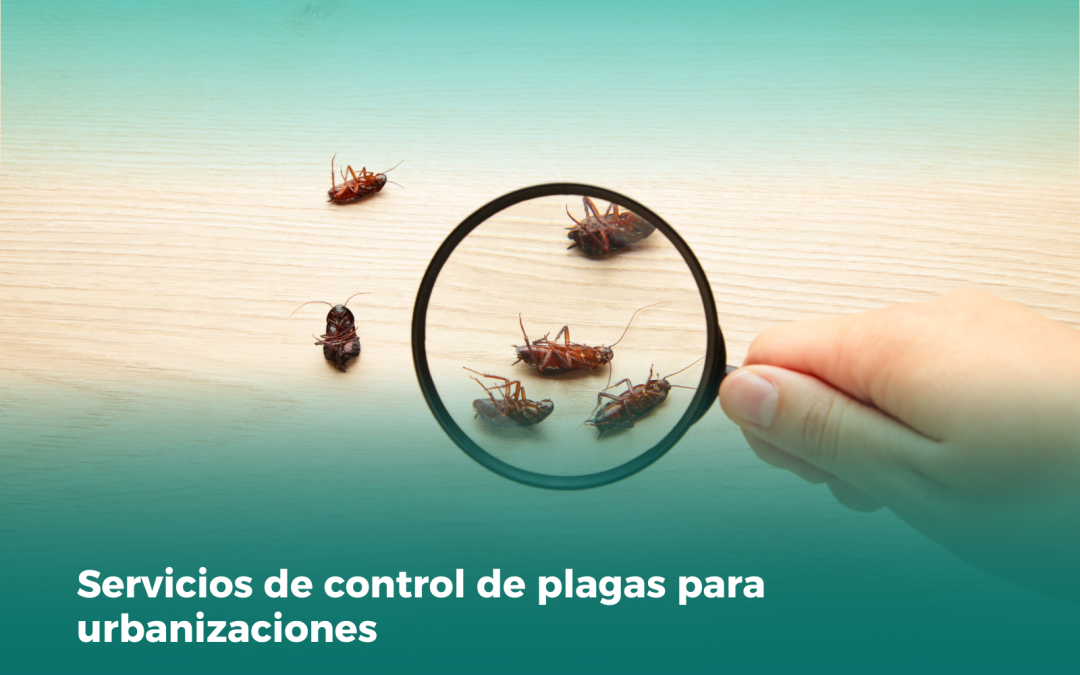 Servicios de control de plagas para urbanizaciones