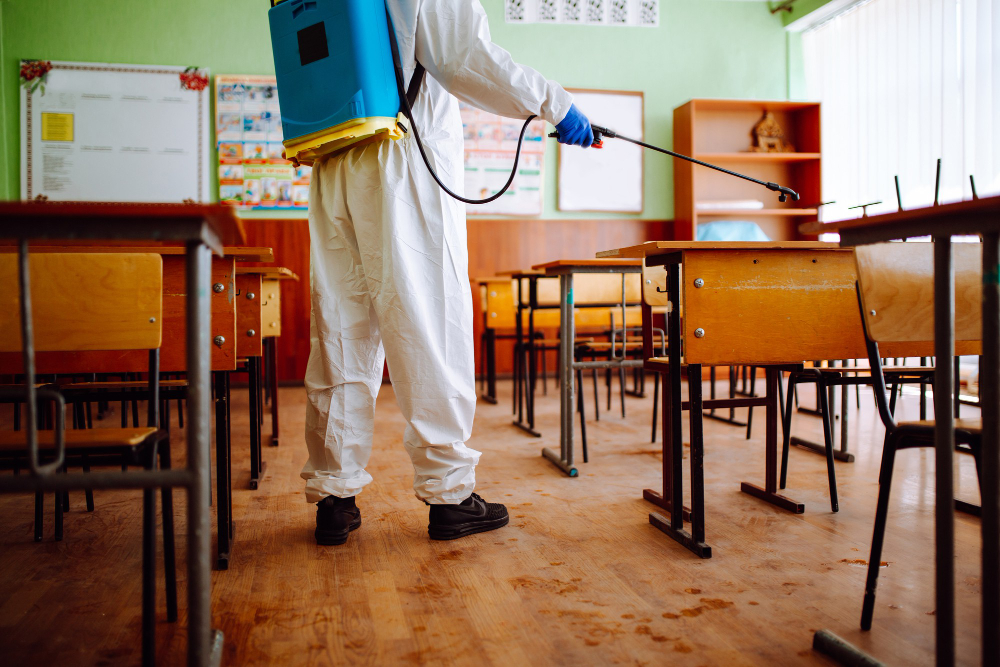 Vuelta al cole sin sorpresas: claves para mantener un centro educativo libre de plagas