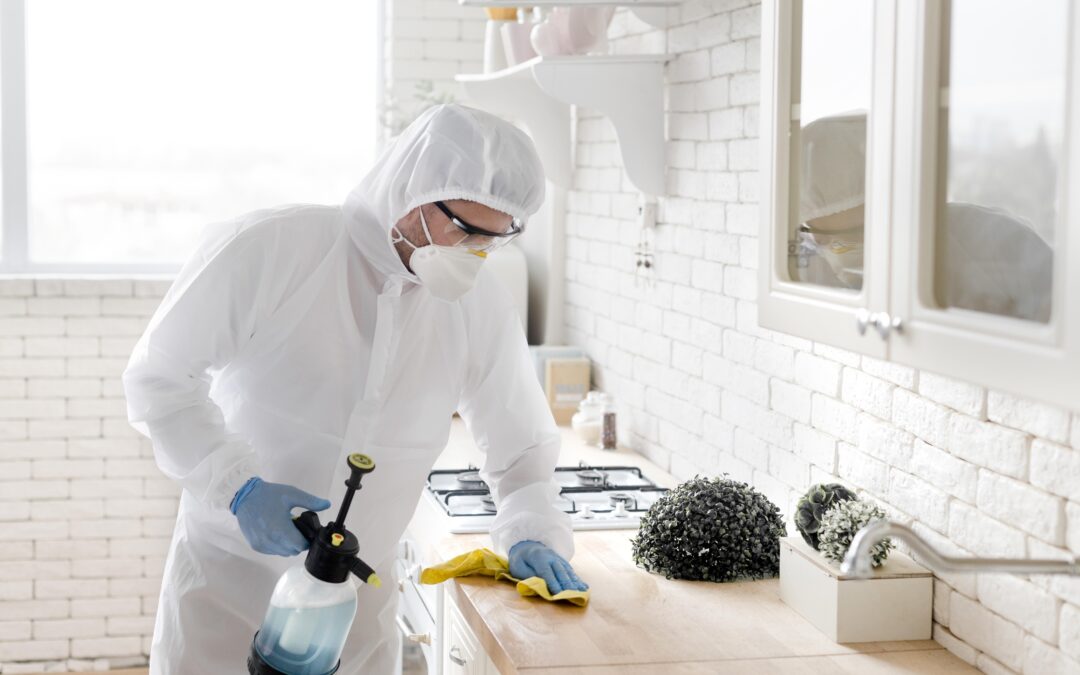 Cómo mantener tu hogar desinfectado y libre de plagas este invierno