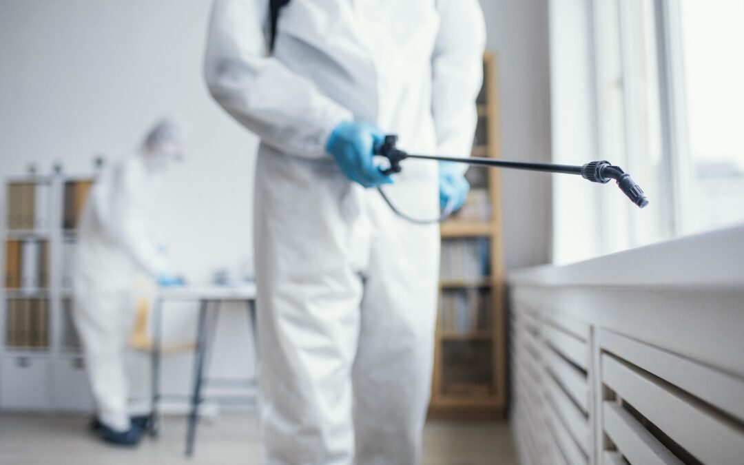 Plagas más comunes en invierno: cómo prevenir su aparición