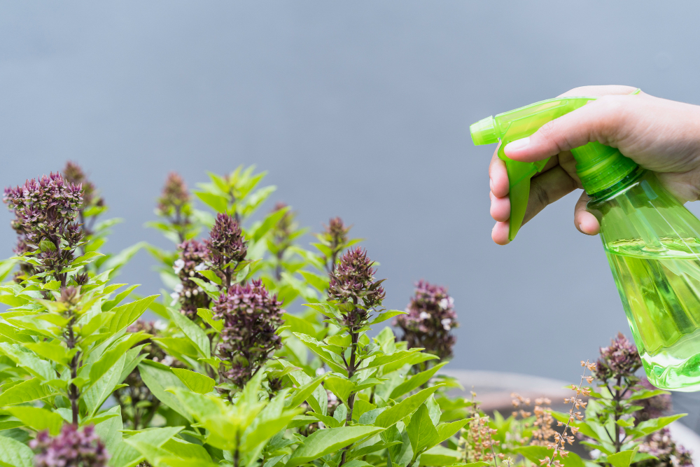 ¿Por qué contratar una empresa profesional y no usar insecticidas caseros?